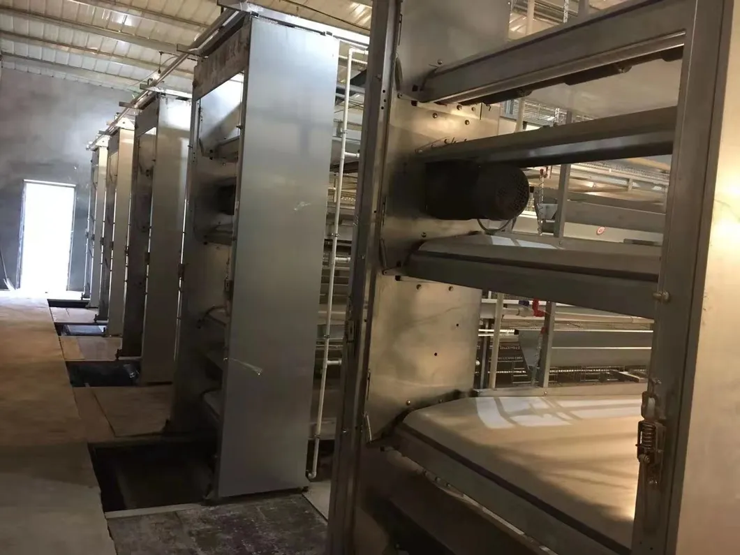 Layers Good Price Cage New Degsin for Poultry Farm Machine Hot Galvanized Wiremeshes