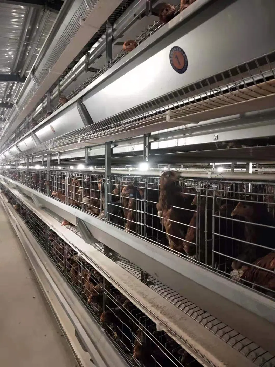 Layers Good Price Cage New Degsin for Poultry Farm Machine Hot Galvanized Wiremeshes