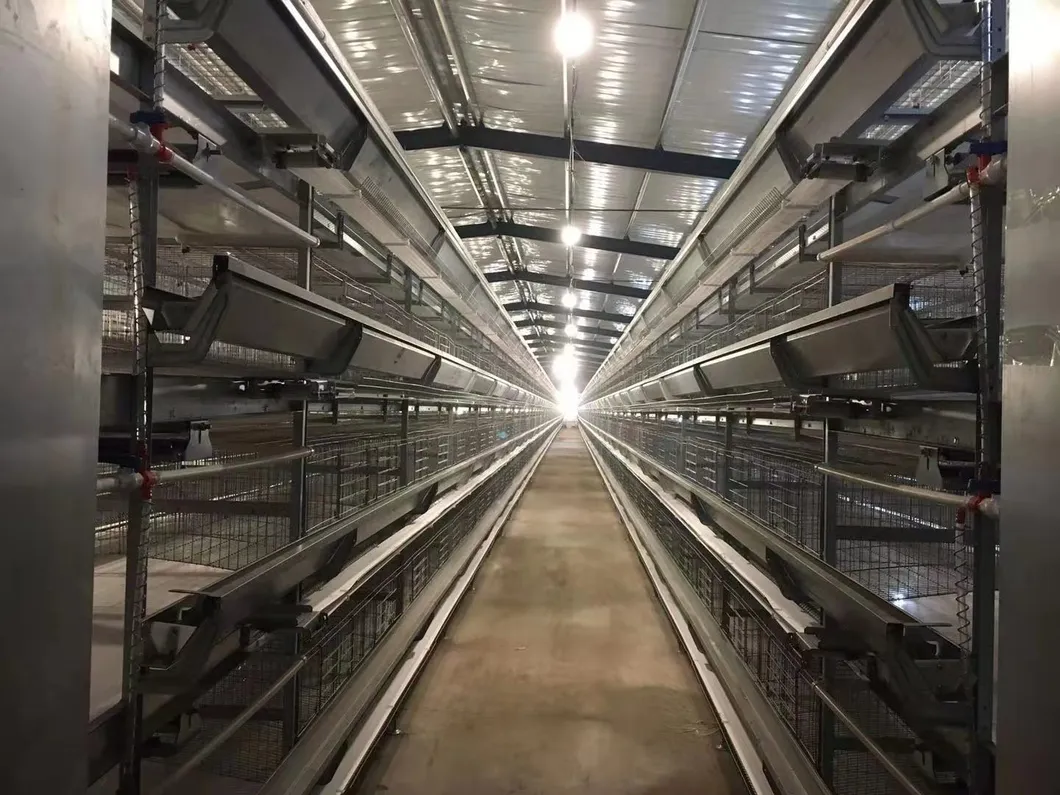 Layers Good Price Cage New Degsin for Poultry Farm Machine Hot Galvanized Wiremeshes