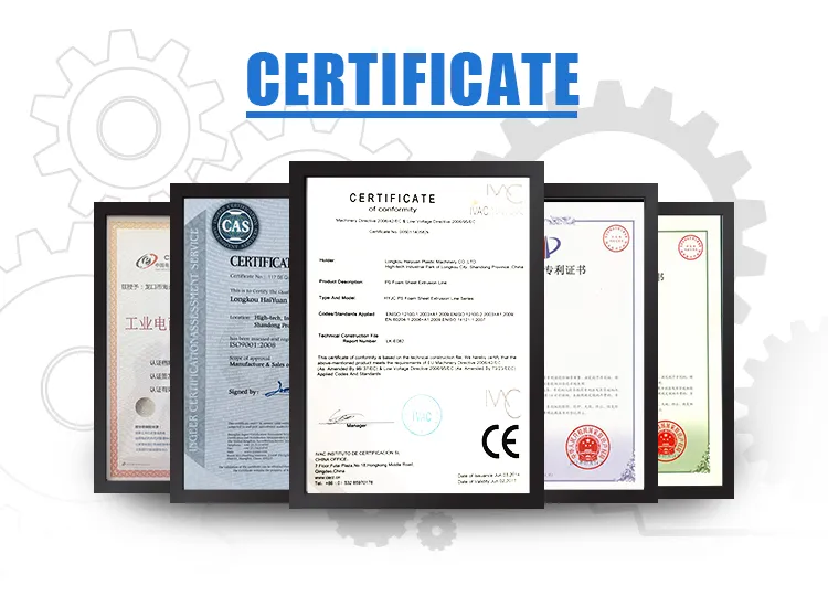 Machine for Making PS Foam Food Plate/ Styrofoam Box