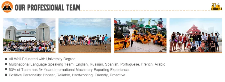 Maxizm 33.8tons 1.4cbm Xe335c Excavator for Sale