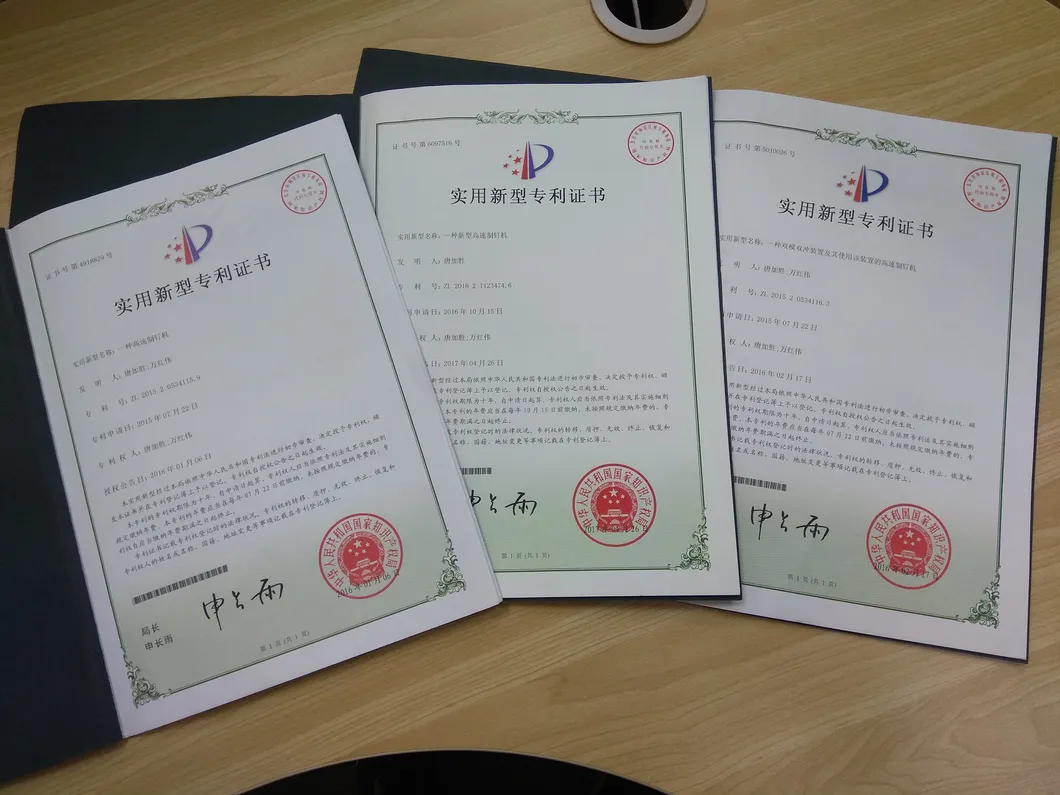 Nail Making Machine Common Nail Polishing Machine