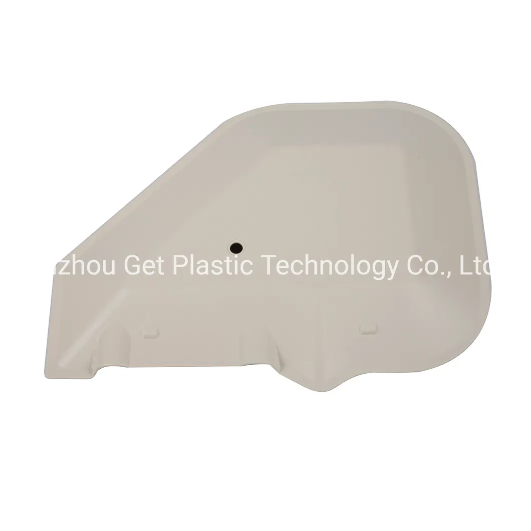 OEM Professional Customized Plastic Injection Mould /Mold