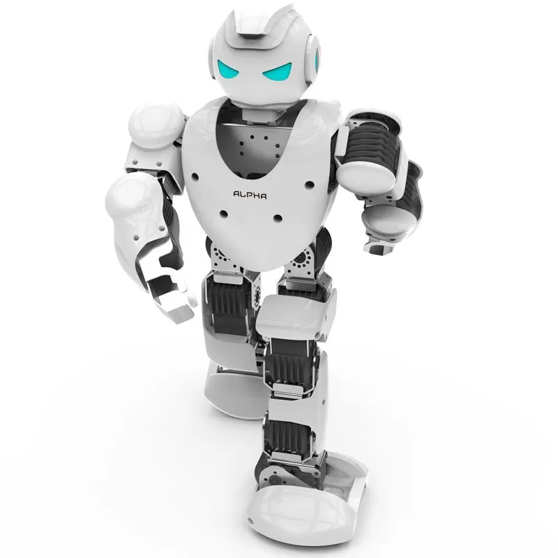 Plastic Mould for Robot