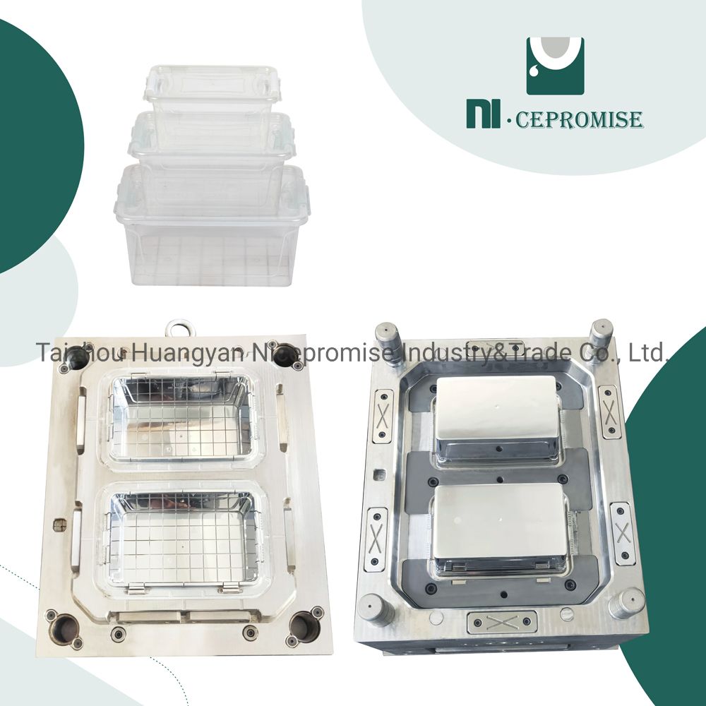 Plastic Packaging Refrigerator Storage Box Food Container Lunch Box Injection Mould