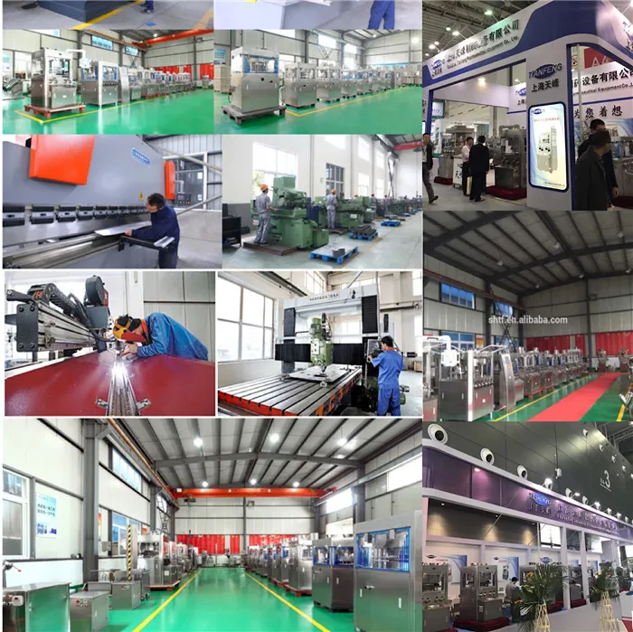 Punch for Tablet Press Machine Tdp 0 Tdp1.5 Tdp5 Mold of Candy