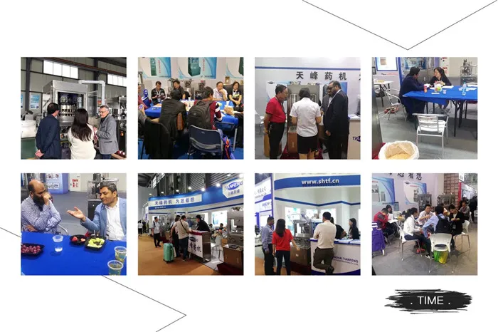 Punch for Tablet Press Machine Tdp 0 Tdp1.5 Tdp5 Mold of Candy