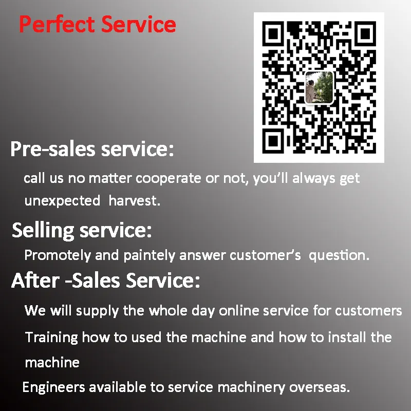 Rhinoceros Small Chinese Mini Excavator for Sale Prices Mini Excavator 800kg with CE