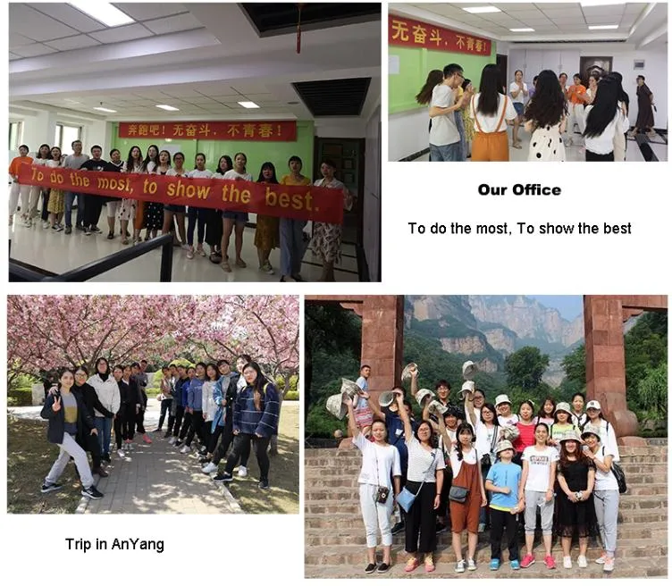 Sg-Sc Automatic Sheet Cutter Machine for Sale