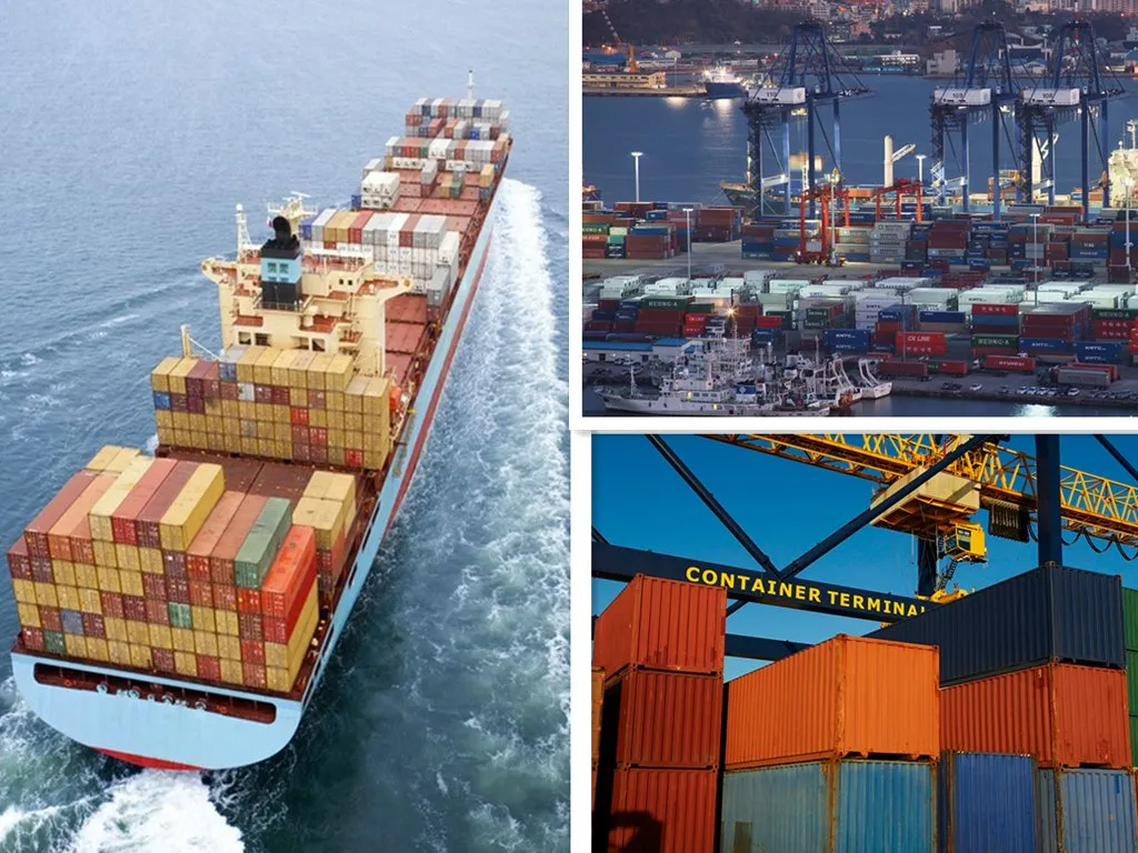 Skid Steer Loader with Backhoe Loader Wheel Loader