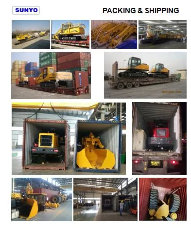 Sunyo Brand Sy916 Mini Loader Similar as Mini Excavators, Skid Steer Loader, Backhoe Loader