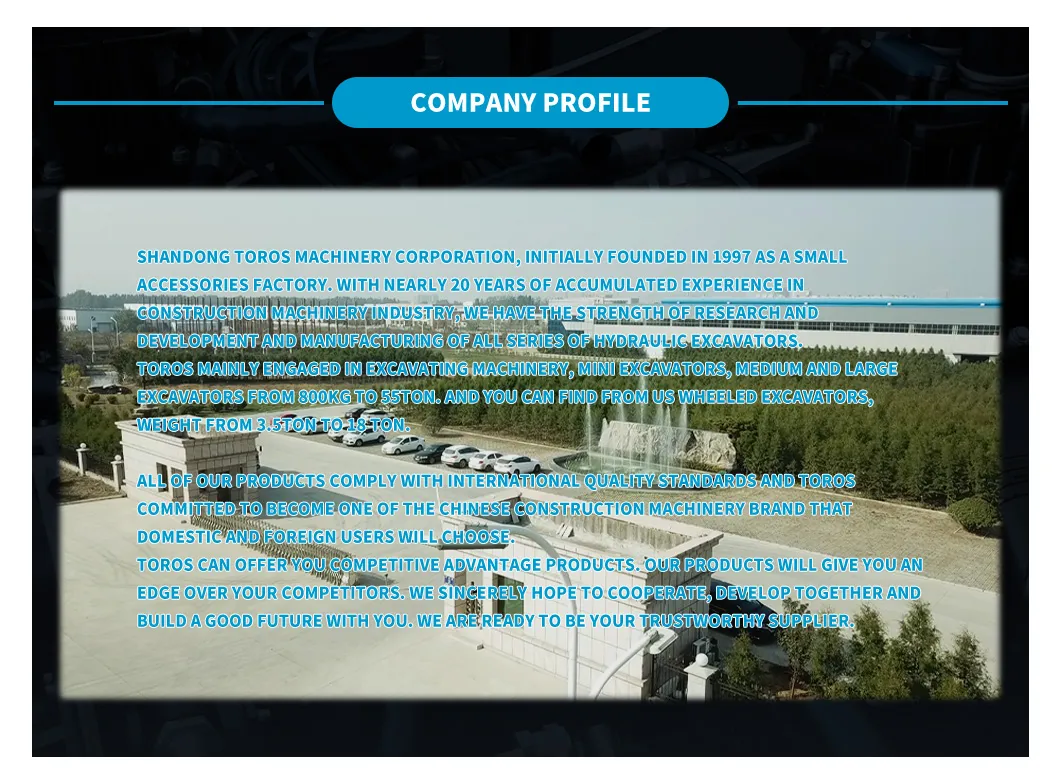 Te385 Heavy Duty Excavator with Hammer Mexico Construction Works Excavator Digging Machine Farms Heavy Excavator