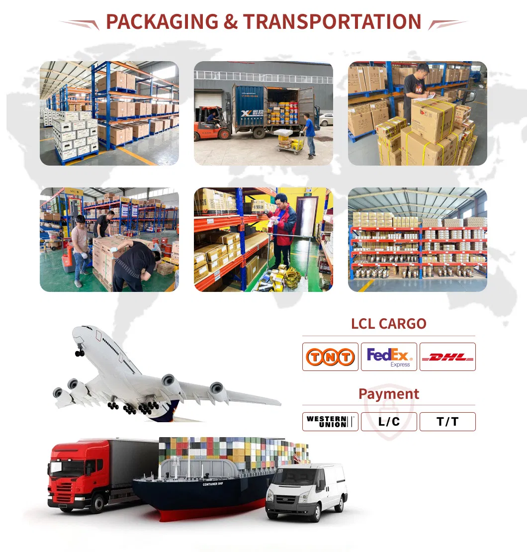 Wei Chai Diesel Engine Parts for Wheel Loader and Excavator Pars with Water Pump and Oil Filter