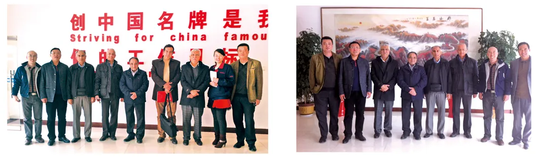 Welding Structure Monthly Deals Metal Tube and Plate Fiber Laser Cutting Machine Wt-6025 Single Platform