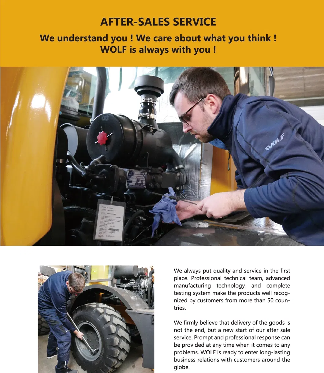 Wolf Wz45-17 Mini Backhoe Loader